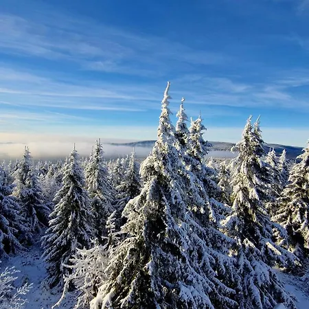 Tajemniczy Ogród - Restauracja I 3*