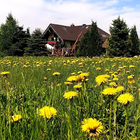 Bed & Breakfast Tajemniczy Ogrod - Szczytna