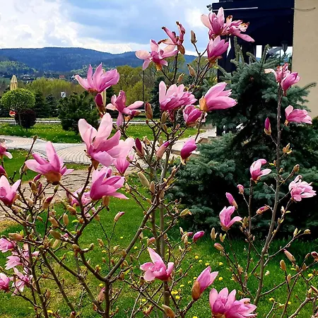 Tajemniczy Ogrod - Bed & Breakfast 3*