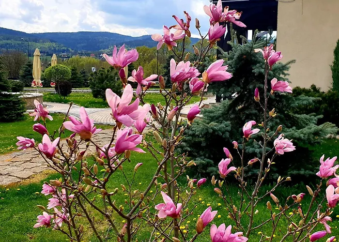 Tajemniczy Ogrod - Bed & Breakfast 3*